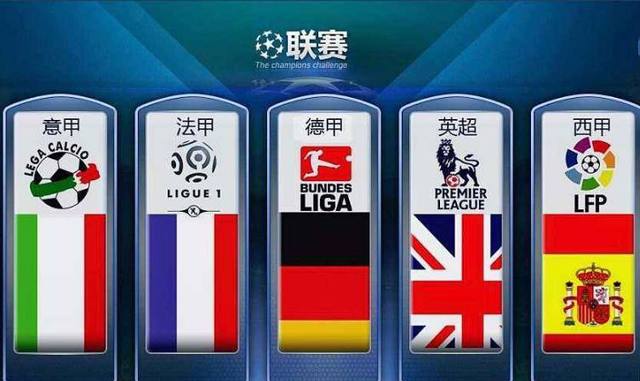 他们共同确